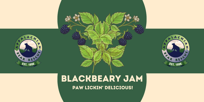Jam - Check Out All The Flavors