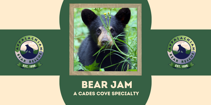 Jam - Check Out All The Flavors