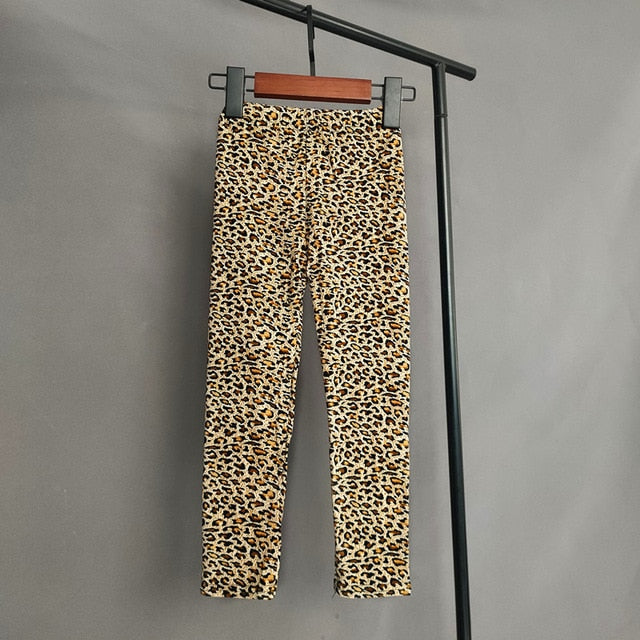Leopard / 2-3T(100)