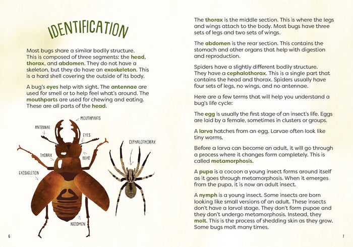 Kid's Guide to Backyard Bugs