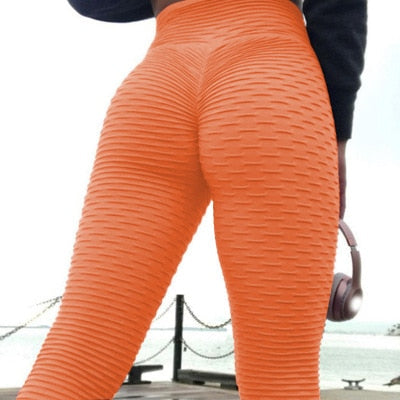 Orange / L