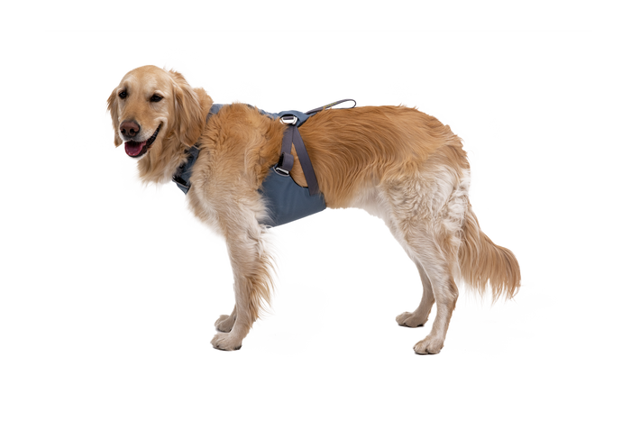 Load Up dog car harness Slate Blue (413)