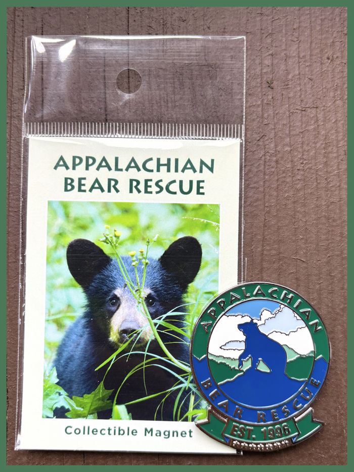 Magnet - ABR Collectible