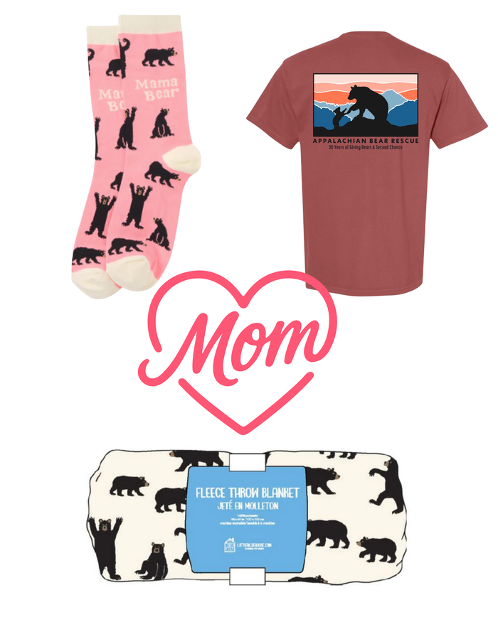 Mama Bear Gift Set