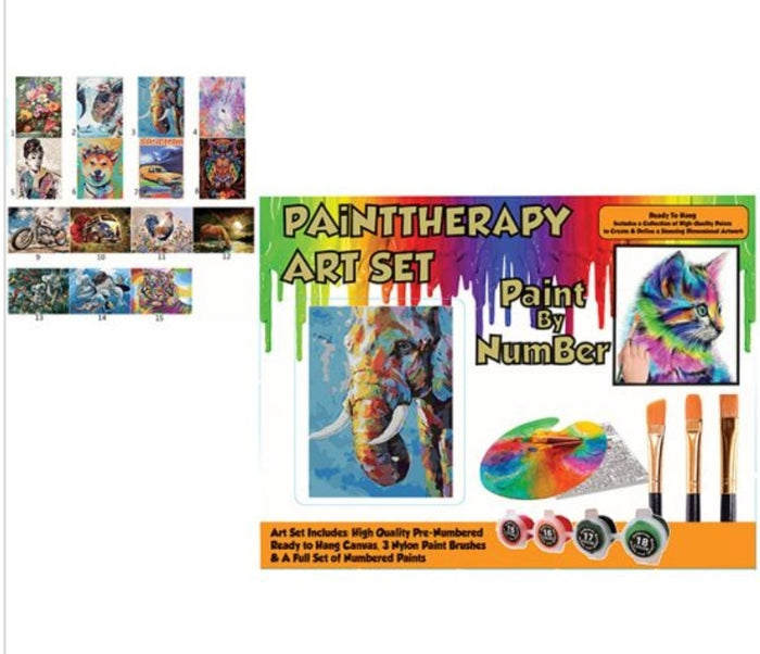 Paint By Number Art Box - 30cmx40cm 15 designs