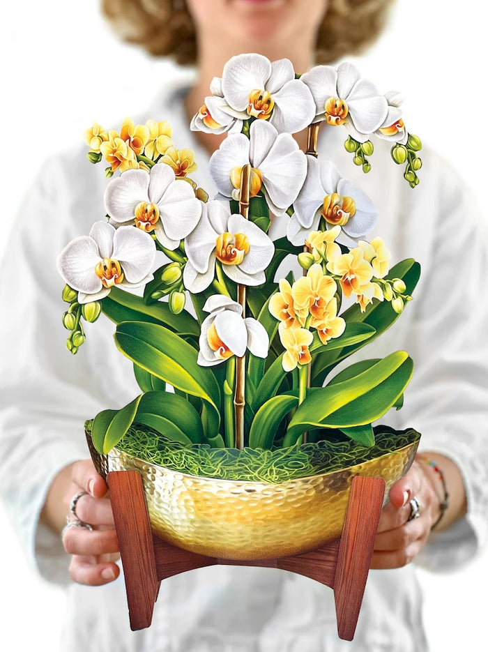 Paper Bouquet- Serenity Orchid