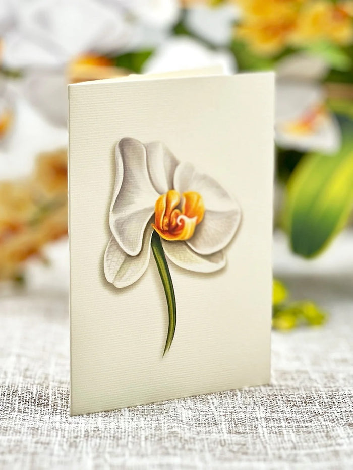 Paper Bouquet- Serenity Orchid