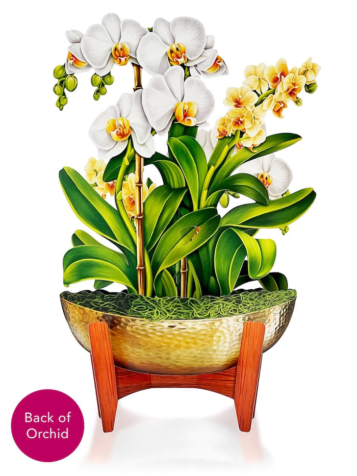 Paper Bouquet- Serenity Orchid