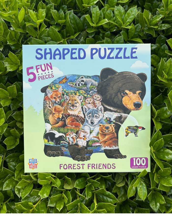 Puzzles - 100, 300, or 1000 Piece