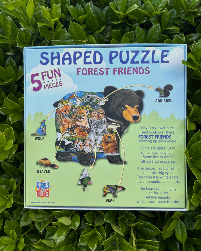 Puzzles - 100, 300, or 1000 Piece