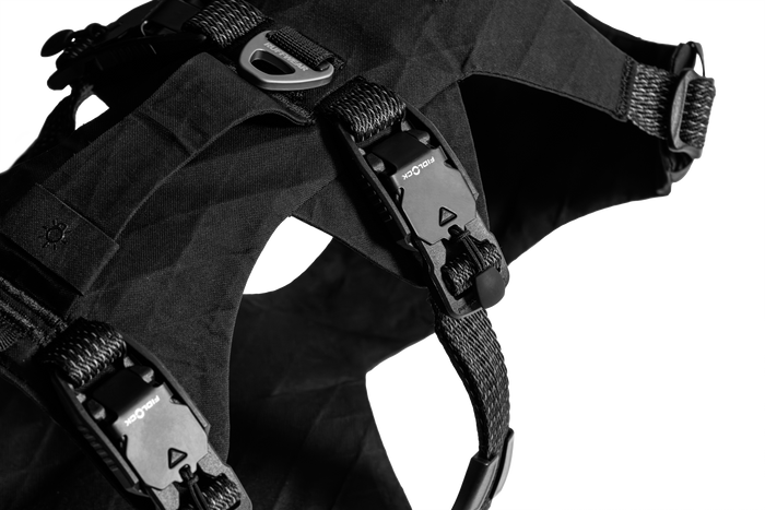 Obsidian Black (001)
