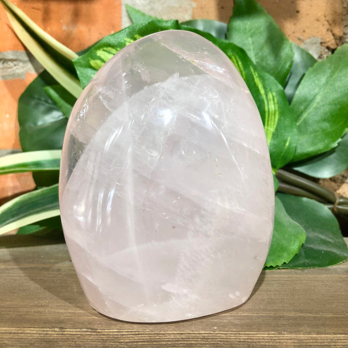 Rose Quartz Polished Free Form