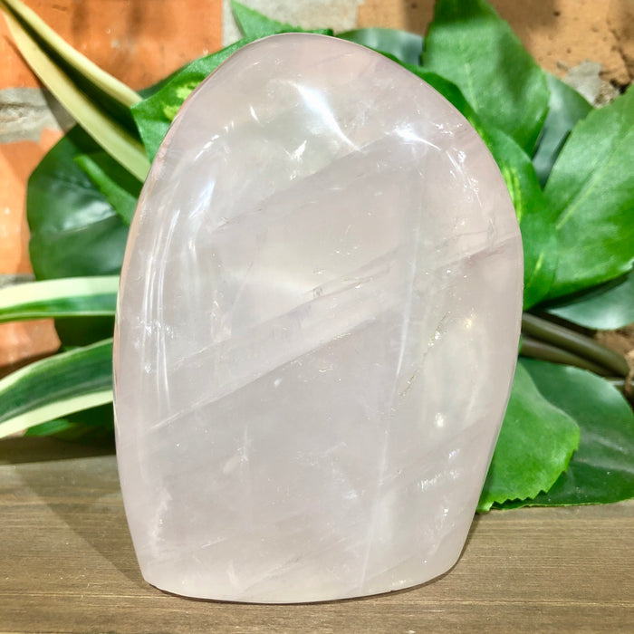 Rose Quartz Polished Free Form