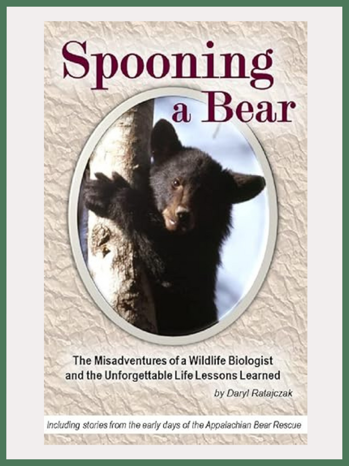 Spooning a Bear Book by Daryl Ratajczak