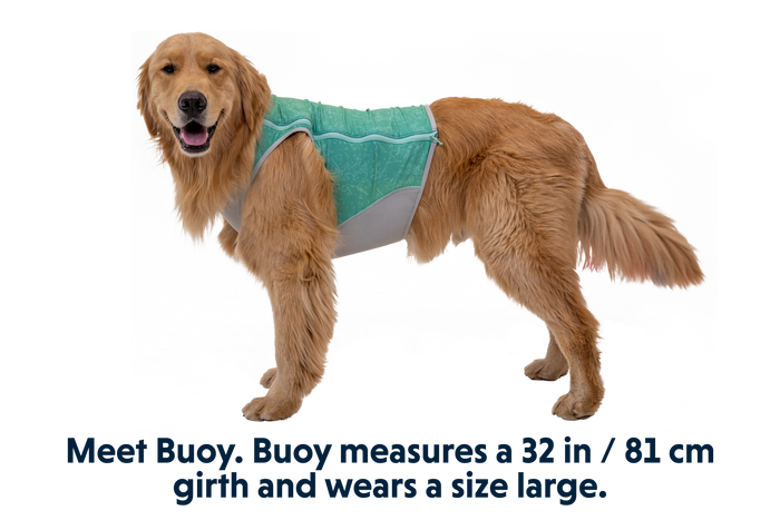 Aurora Teal (421)