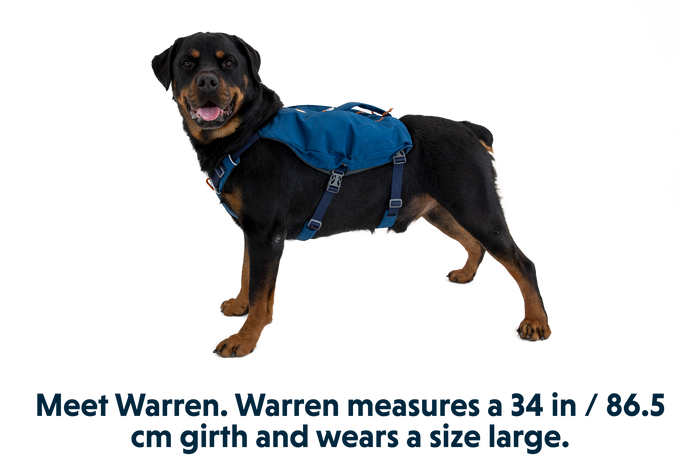 Switchbak Harness in Blue Moon (460)