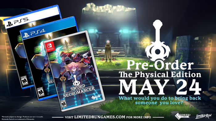 Sword of the Necromancer (Switch)