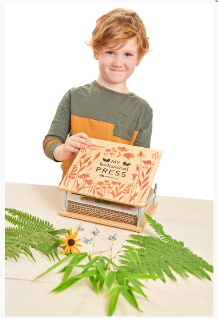 Tender Leaf Toys Wooden Flower Press Craft Kit