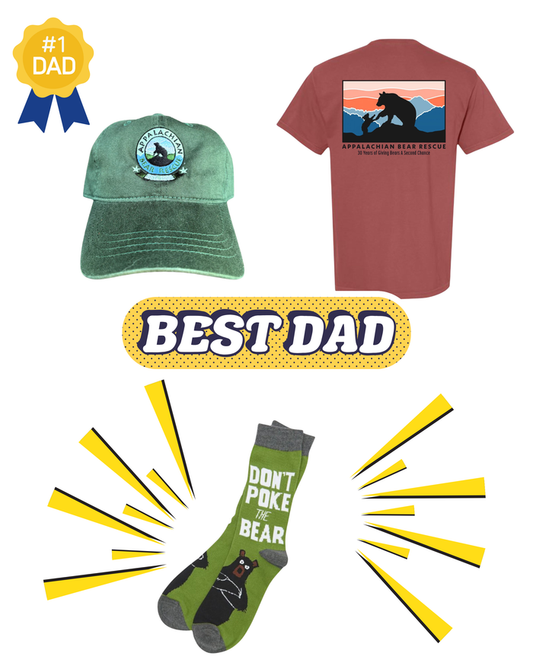 The Father's Day Gift Set