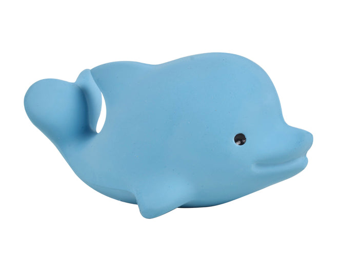 Dolphin