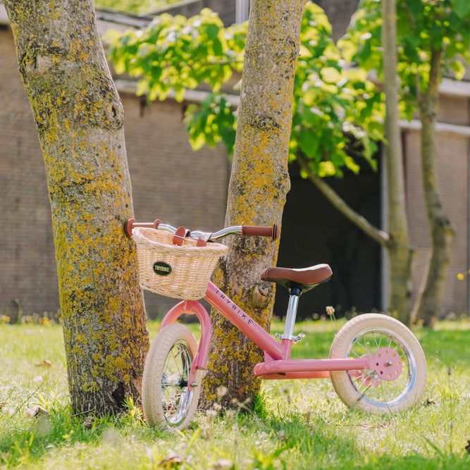 Trybike basket front view