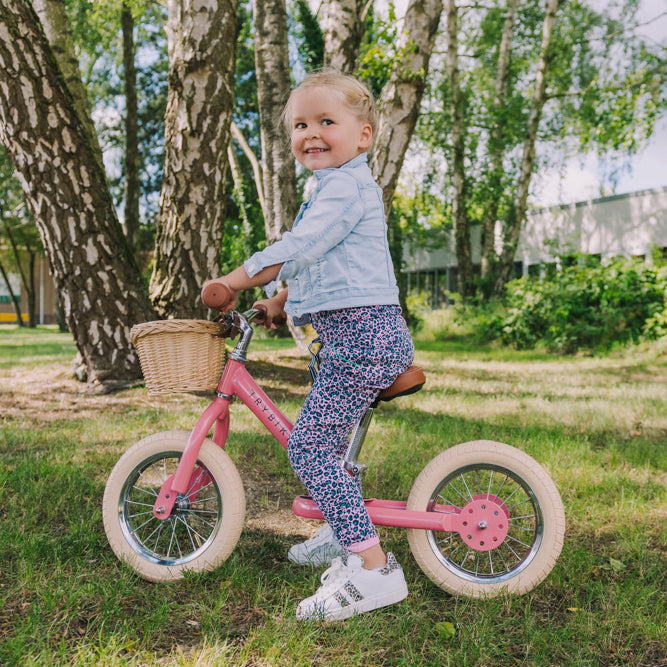 Trybike basket close-up