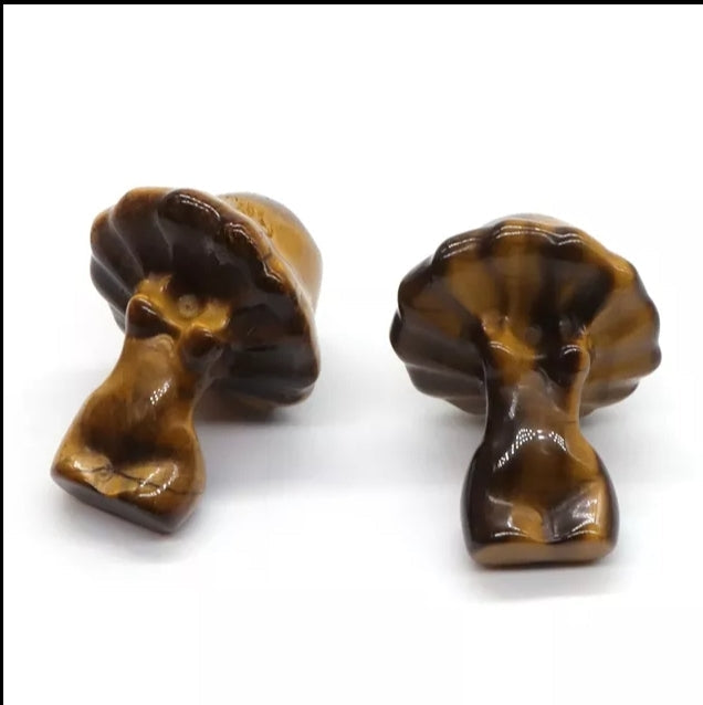Tigers Eye