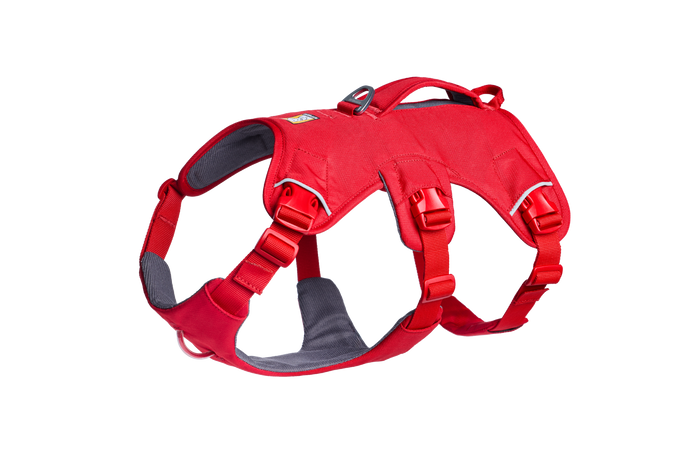 XXSmall / Red Canyon (625) / New