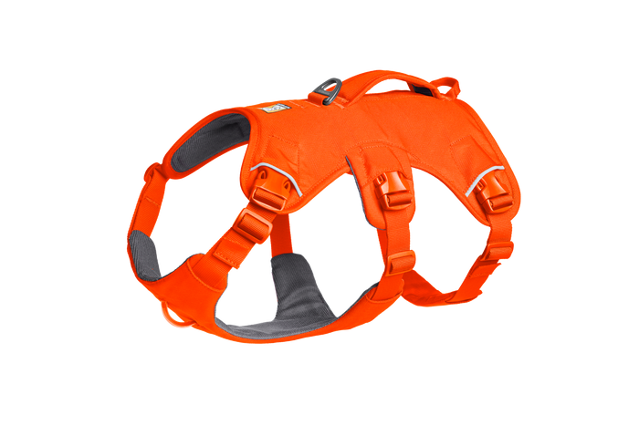 XXSmall / Blaze Orange (850) / New