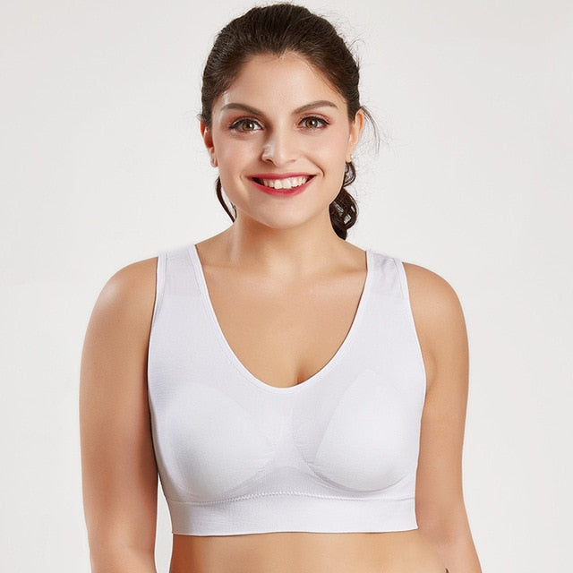 Womens Seamless Assorted Colourful Bras With Pads