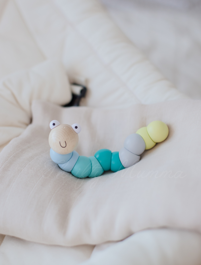Wooden Wriggly Worms