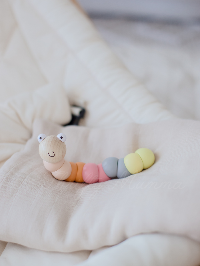 Wooden Wriggly Worms